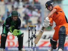 Six-Hitting T20 WC Matches